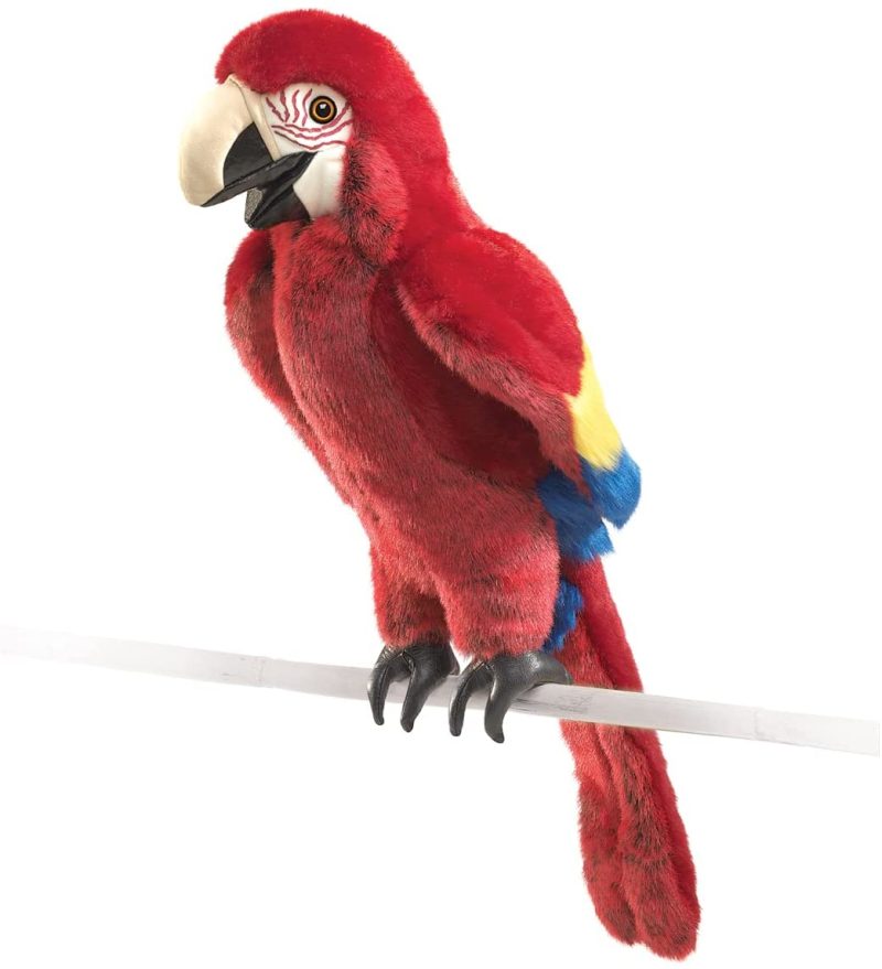Macaw1