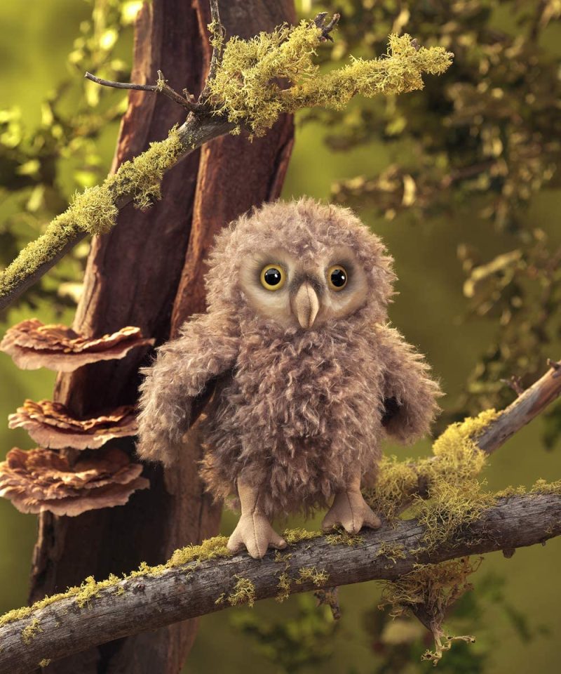 Owl4