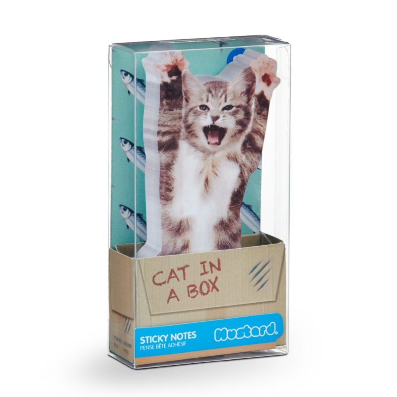 Cat In A Box2